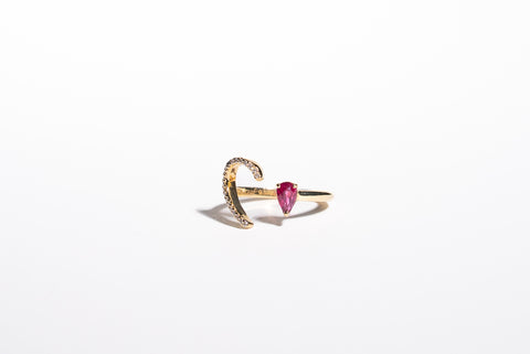 Amore Ruby Diamond Ring