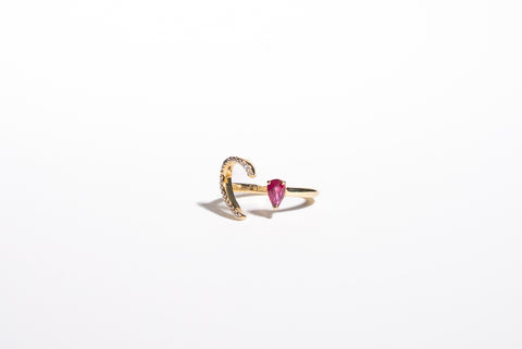 Amore Ruby Diamond Ring