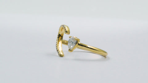 Amore Diamond Ring